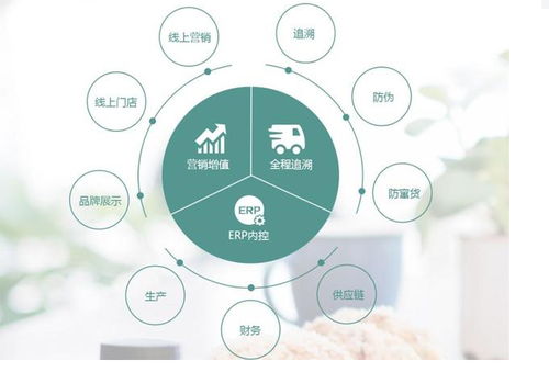 食品貨源追溯系統與防竄貨溯源 全國315產品防偽查詢中心的信息咨詢指南