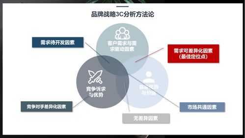 行舟品牌運用3C定位模型助力廚房用品品牌精準定位